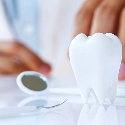 Model tooth and dental tools