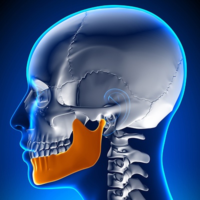 Illustrated skull with jaw bone highlighted